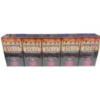 Сигареты Camel Compact Ruby ( Кэмел Компакт Руби Кнопка Ягоды )